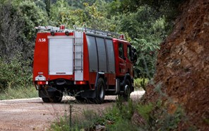Φωτιές σε Βρυότοπο και Ελευθεραί κινητοποίησαν την Πυροσβεστική